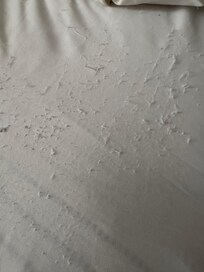 Mattress protector that we had to sleep on because they did not have a fitted sheet on the bed.