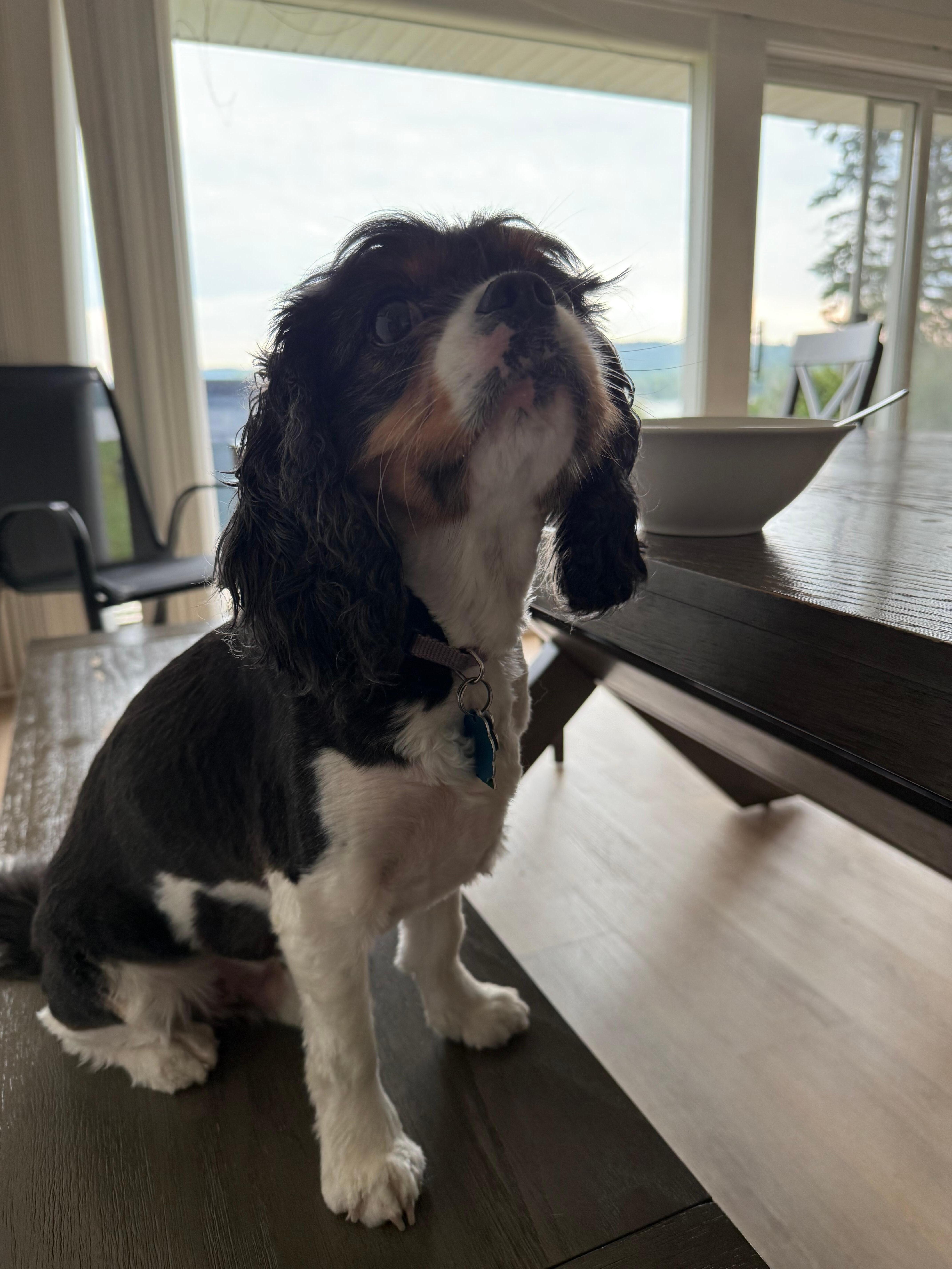 Quiet mornings waiting for everyone to get up.