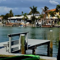 Dolphins swam right by the dock