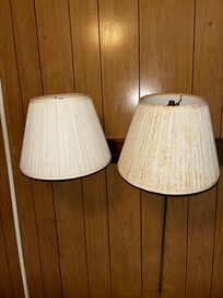 Mold/dirty bedroom shades
