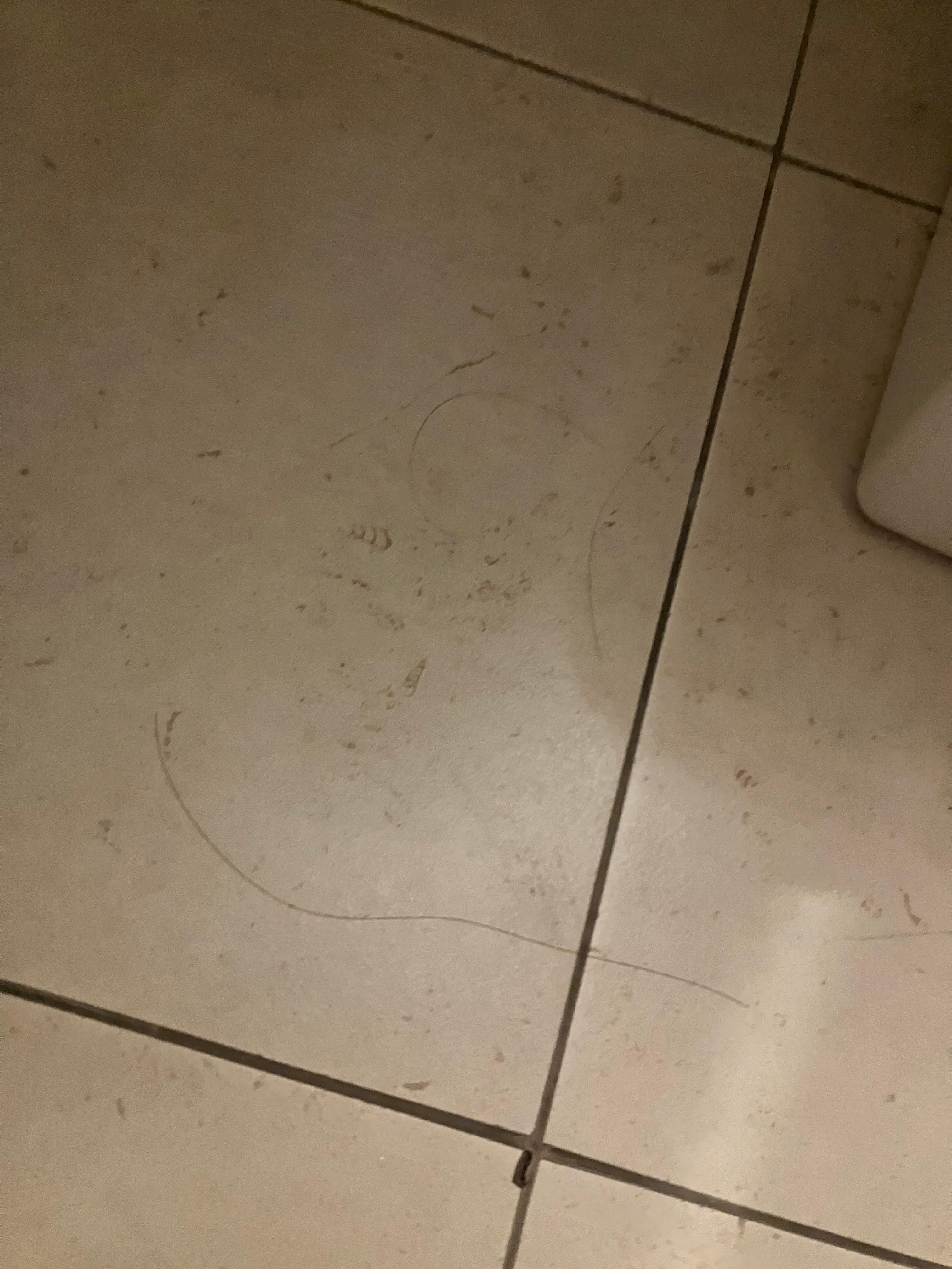 洗面所の髪の毛