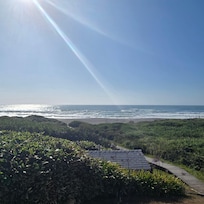 View from the backyard