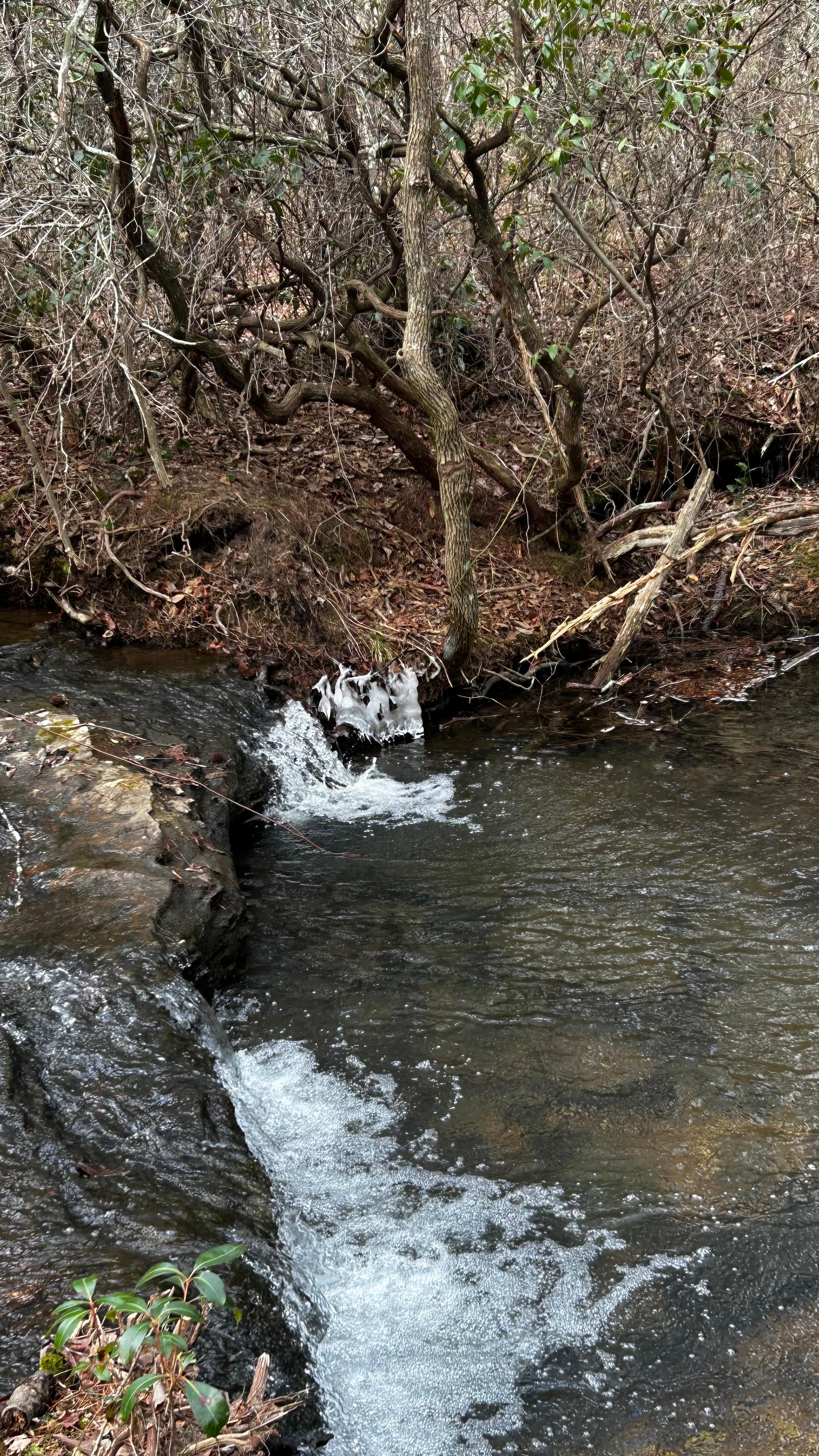 Creek just a short walk across the road