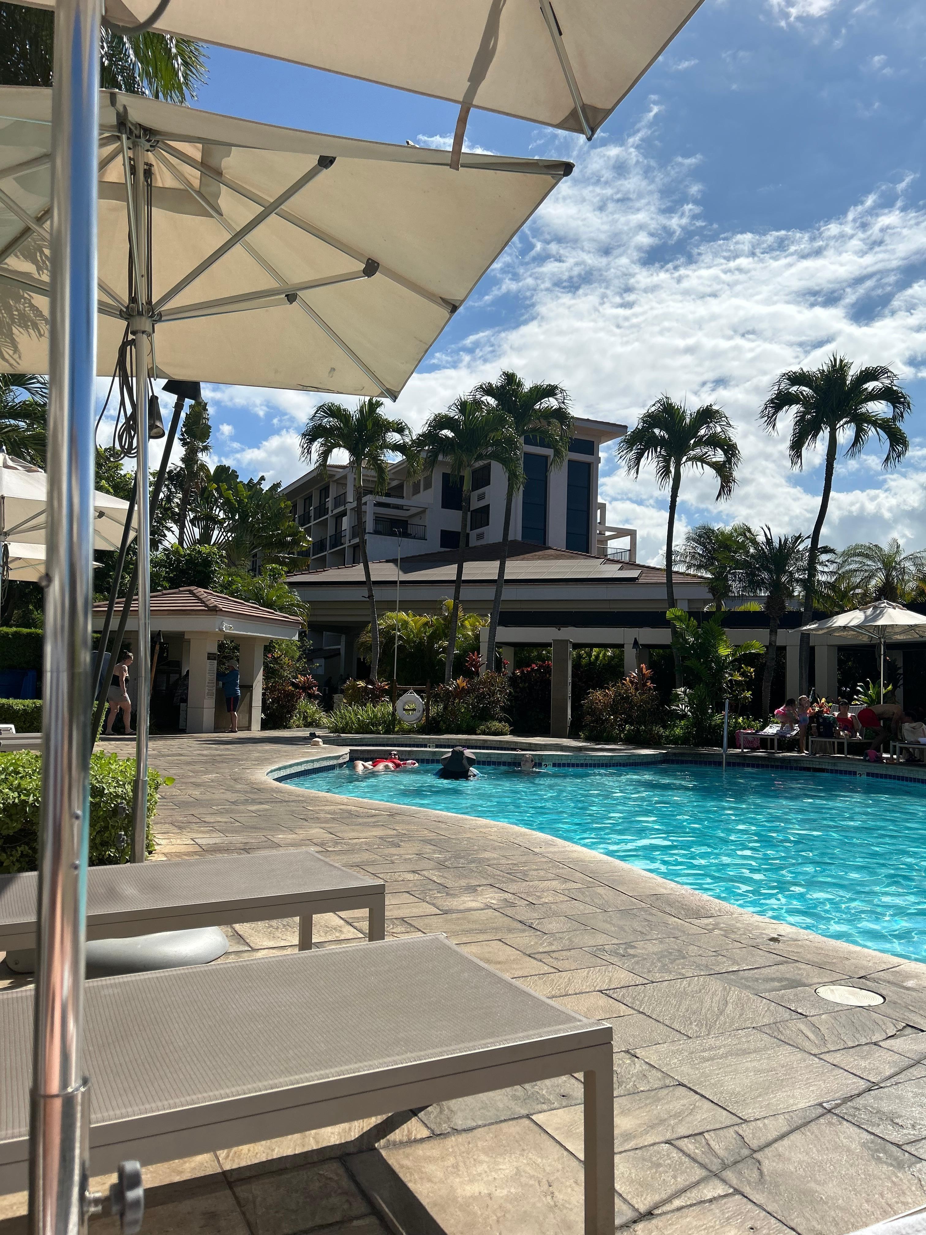Lots of lounge chairs