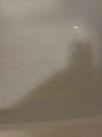Hair in tub