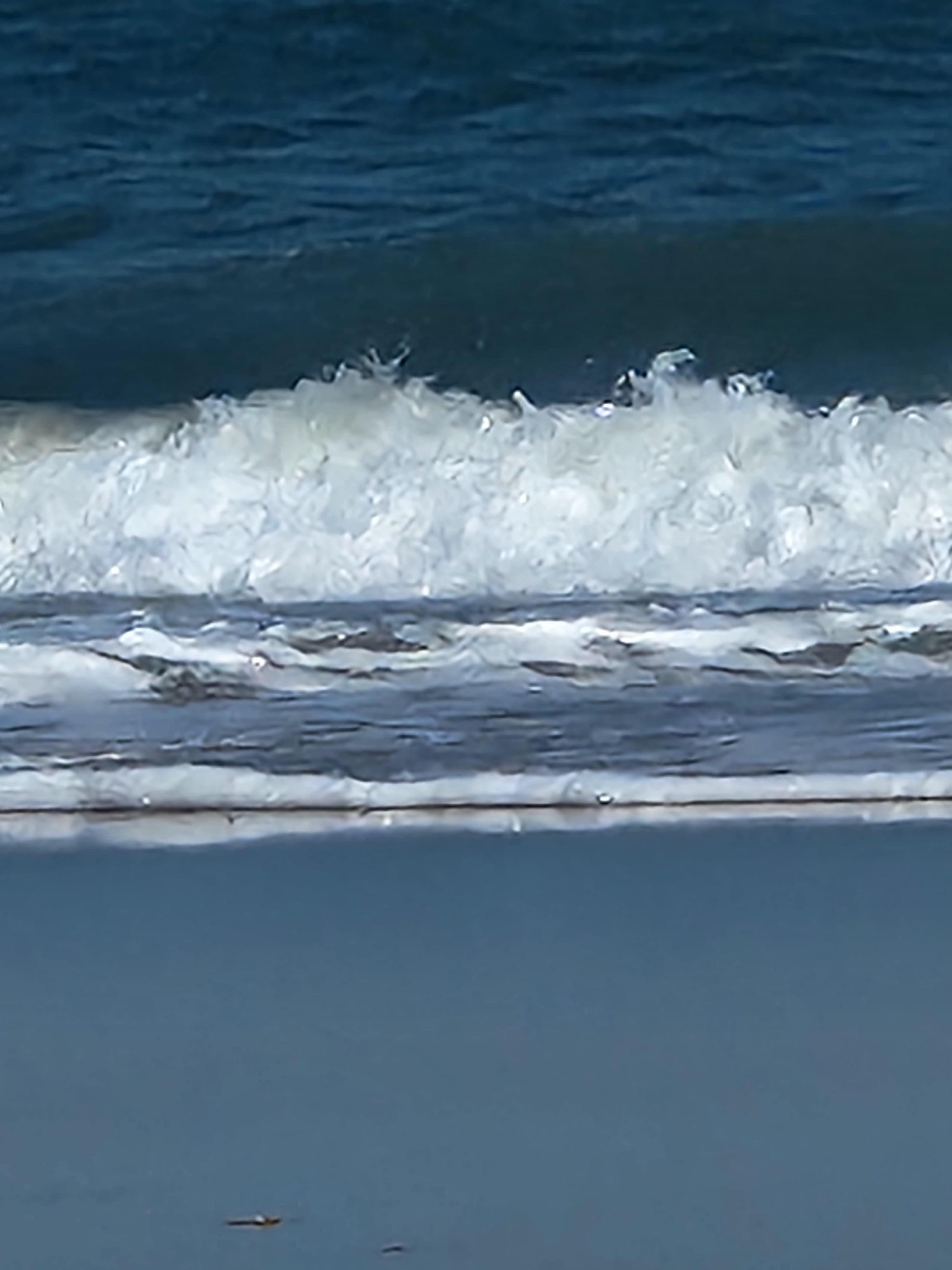 The ocean was beautiful!