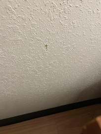 Boogers on the wall