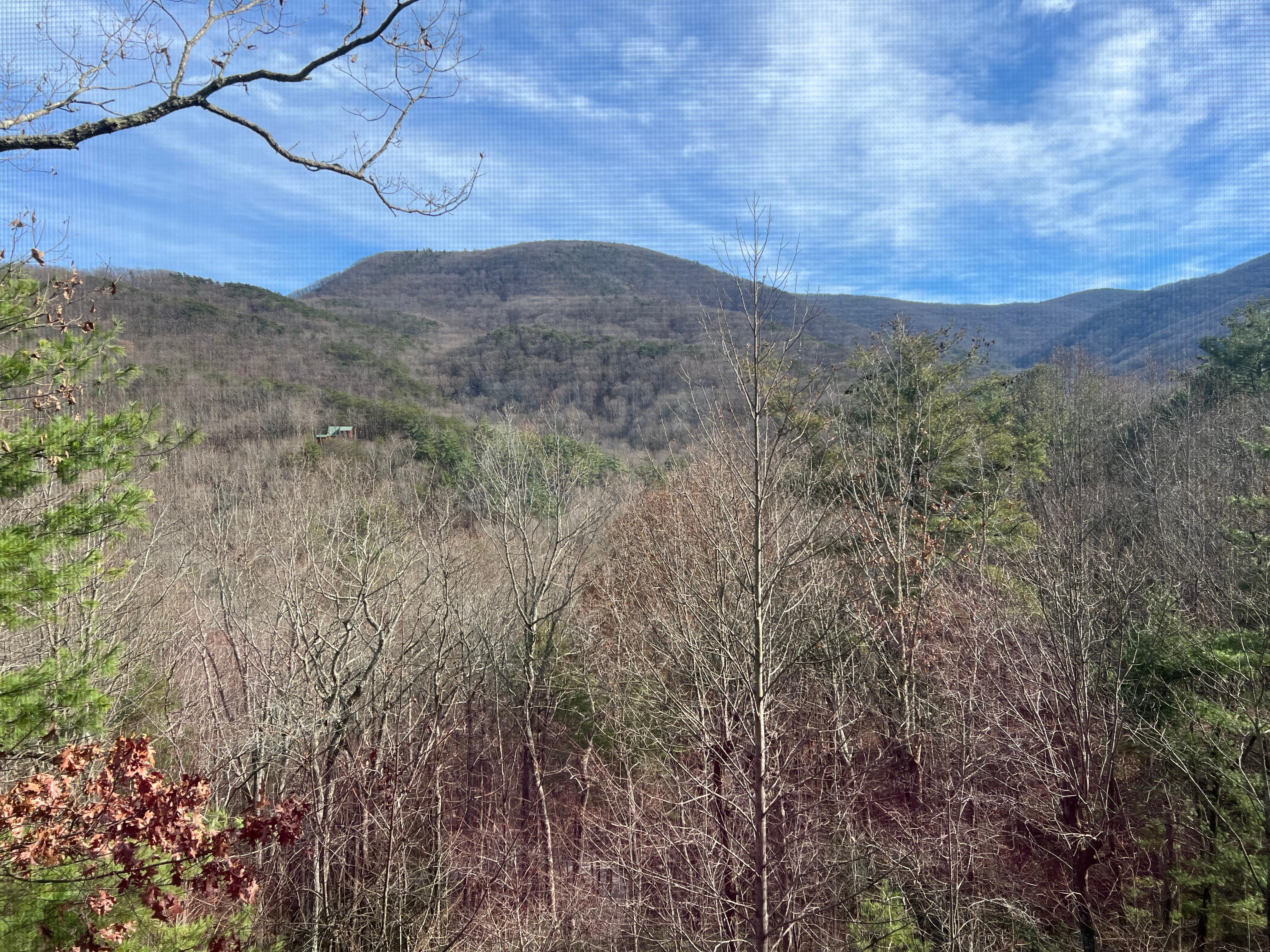 The view from the sun porch