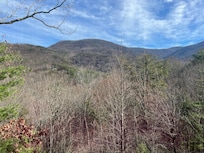 The view from the sun porch