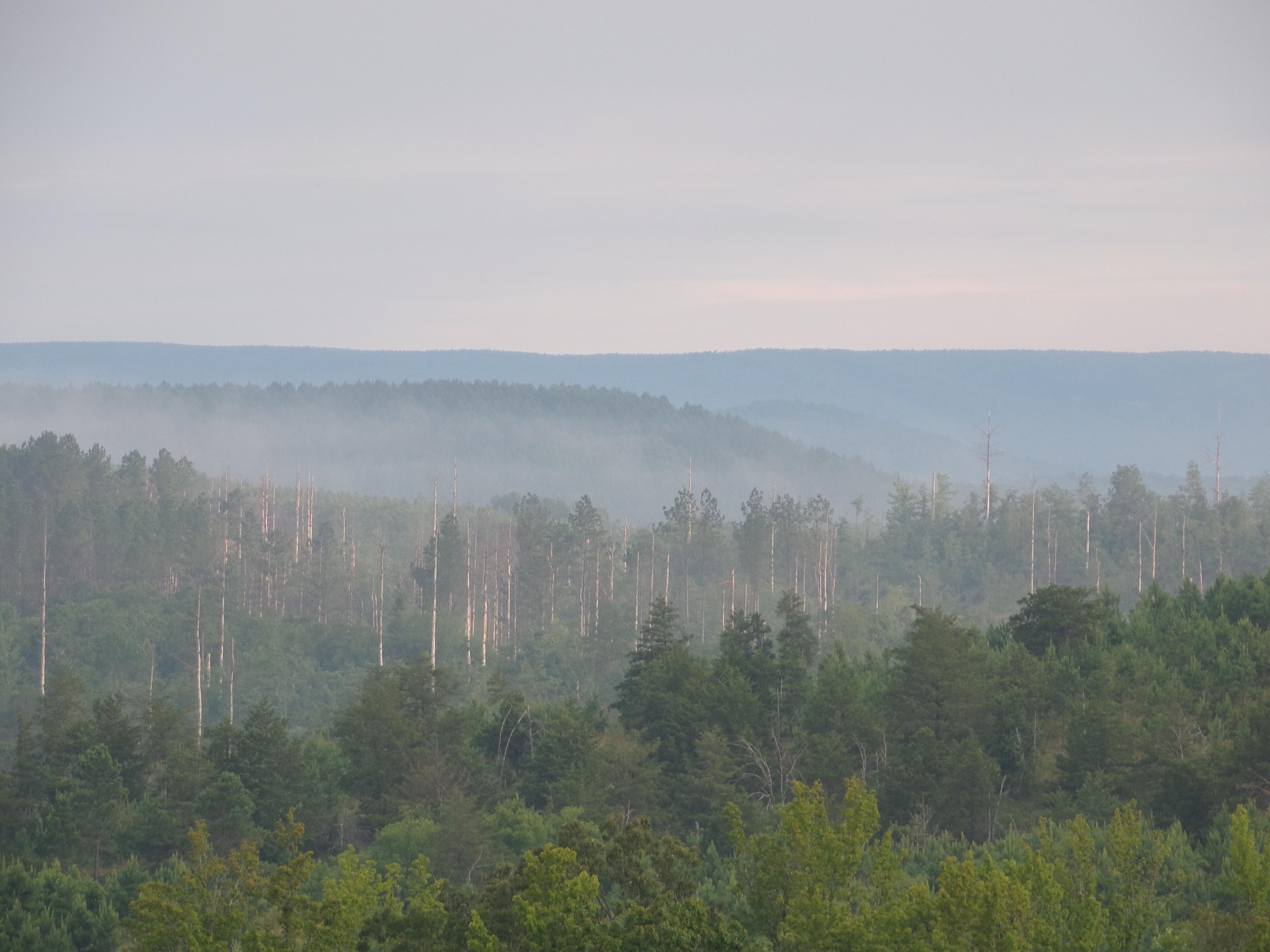 Watching the clouds rise for the day