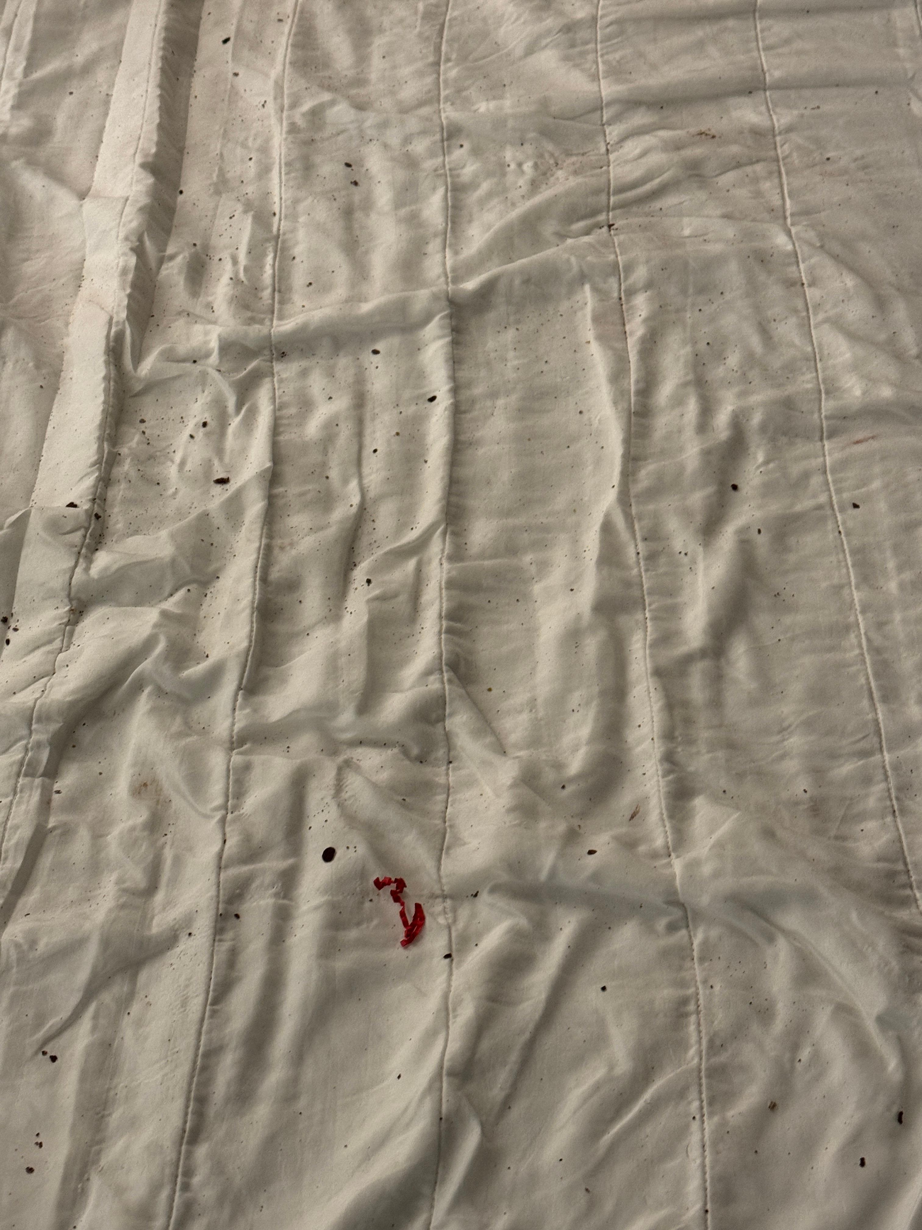 Bed sheets weren’t changed and extremely dirty 