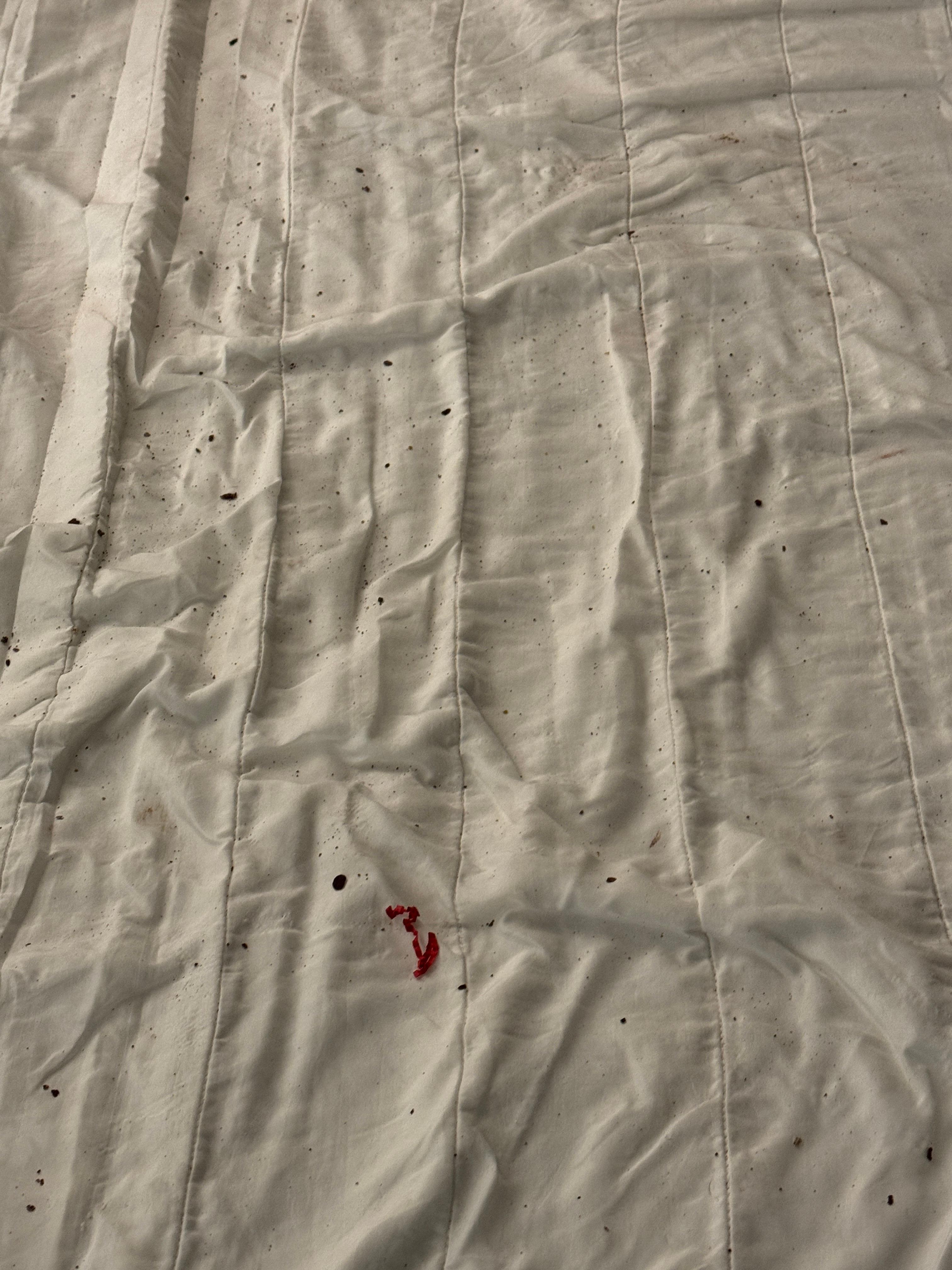 Bed sheets weren’t changed and extremely dirty