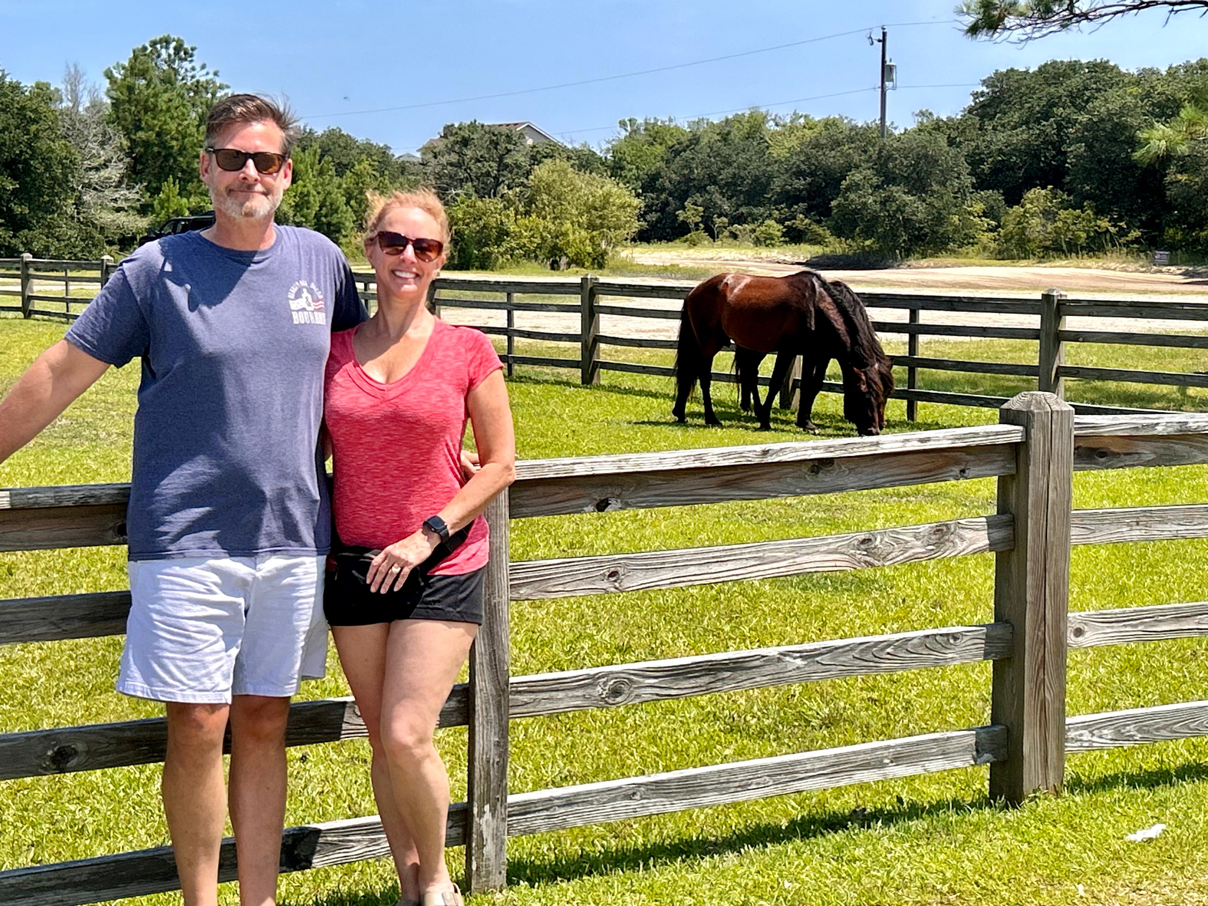 Horse tour 