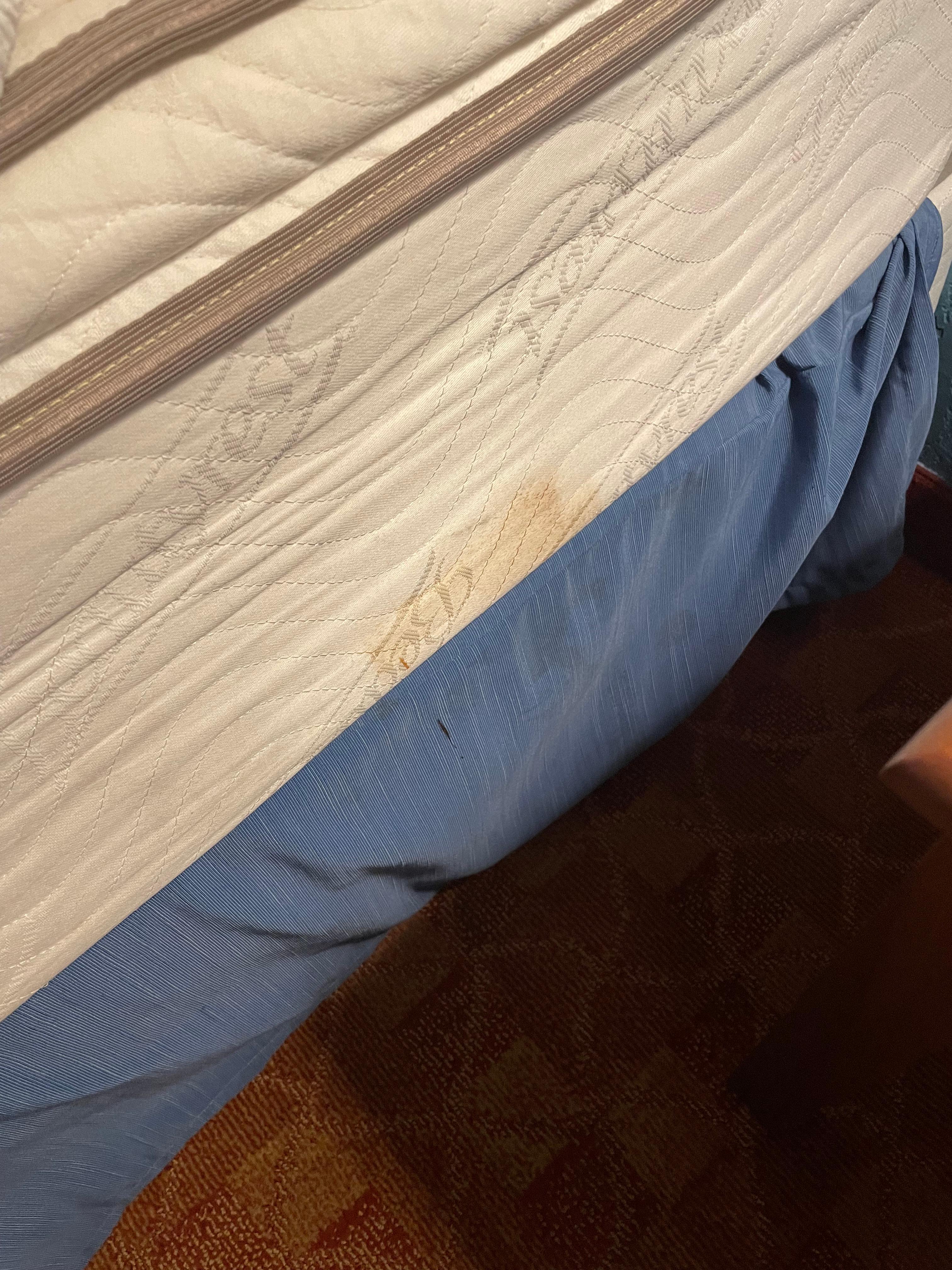 One of many mattress stains