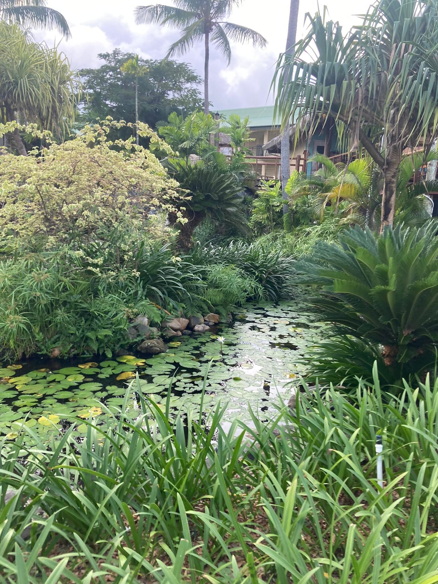 Gorgeous walk ways around the resort