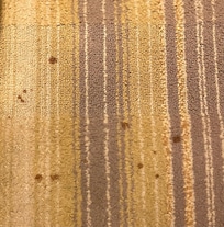 Carpet is old and stained