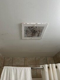 Nasty bathroom vent