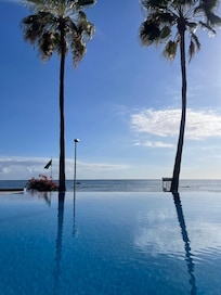From the pool