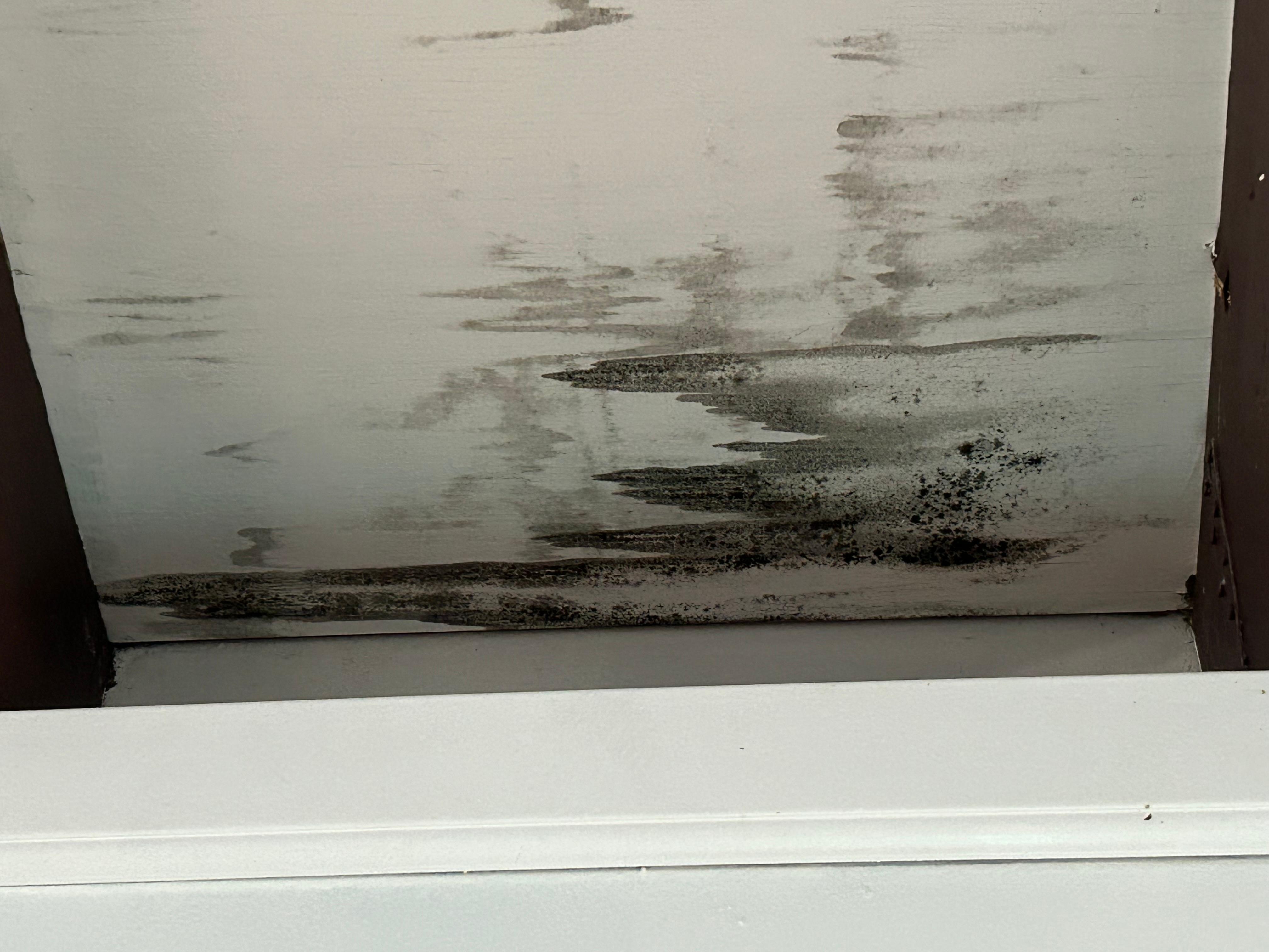 Water/mold damage?