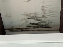 Water/mold damage?