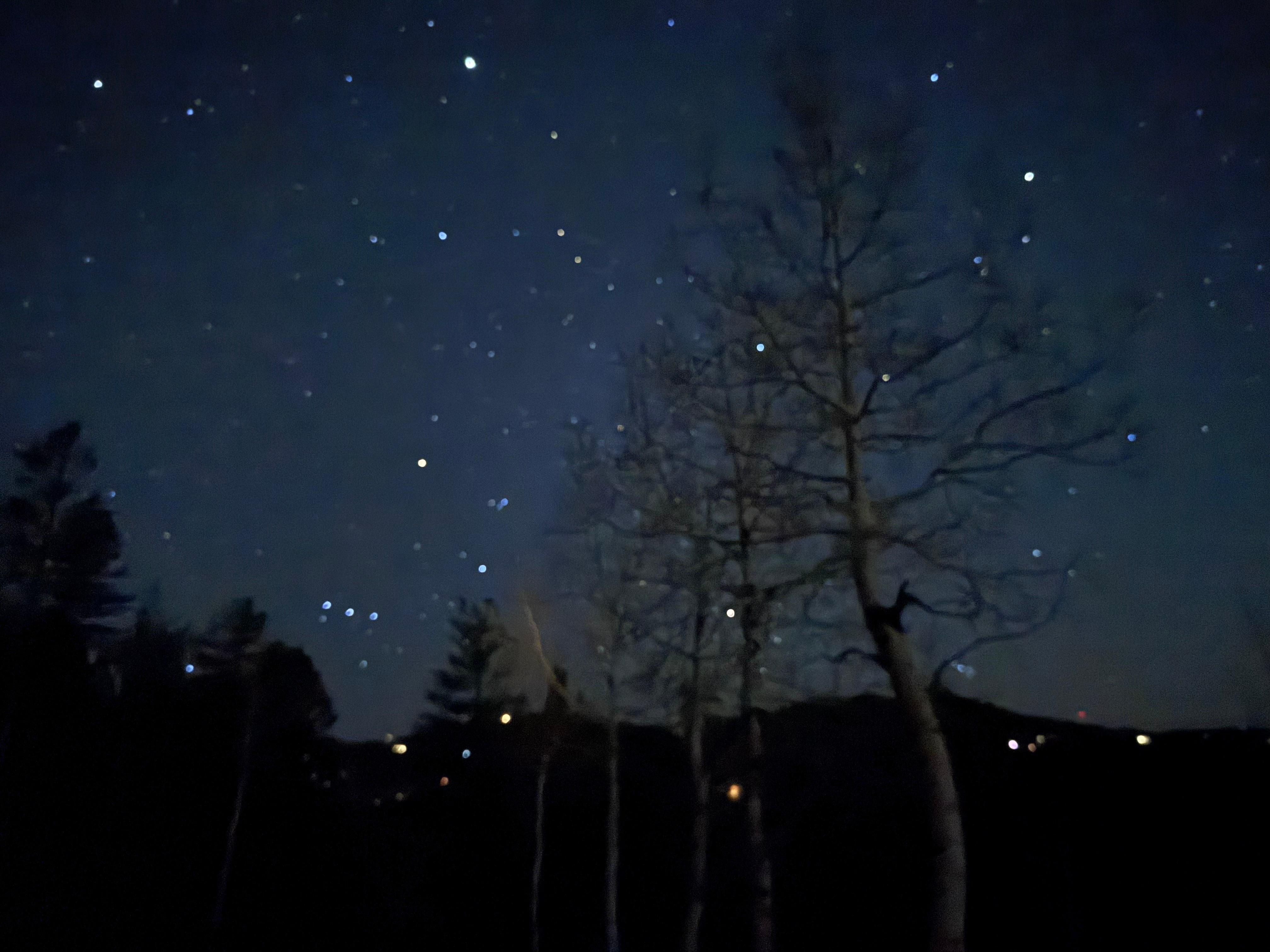 The stars in the night sky