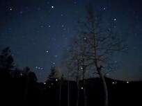 The stars in the night sky