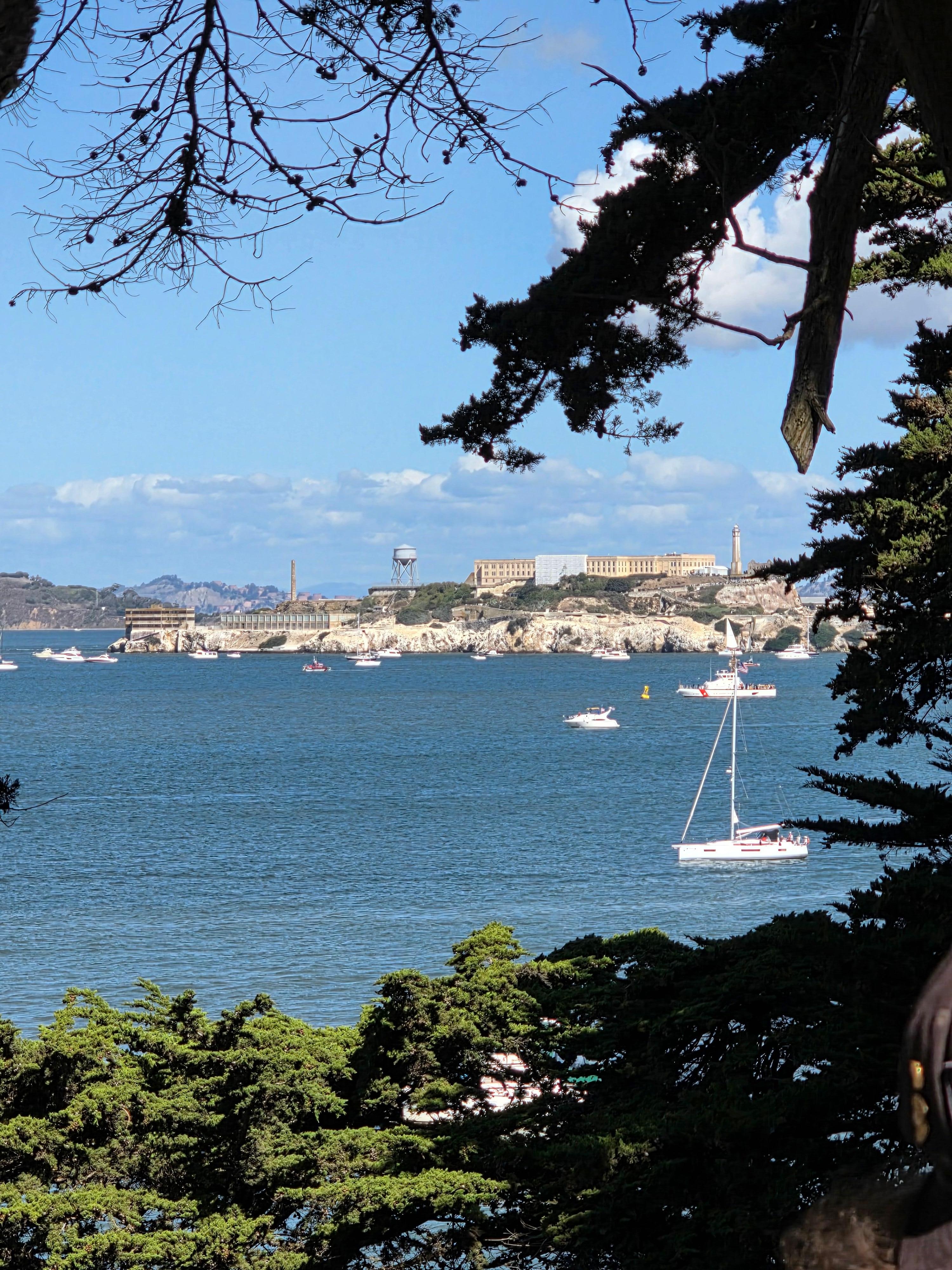 Rent a lime scooter! Its the best way to see the water front