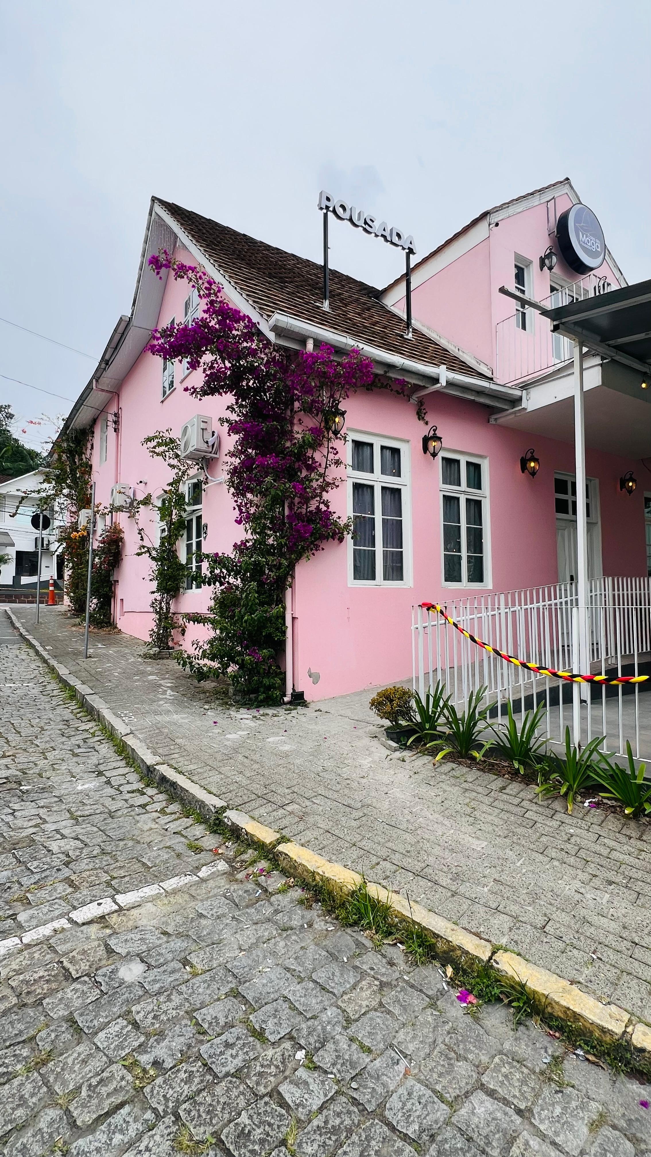 As plantas estavam floridas, deixaram ainda mais charmoso.