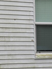 Questionable siding damage