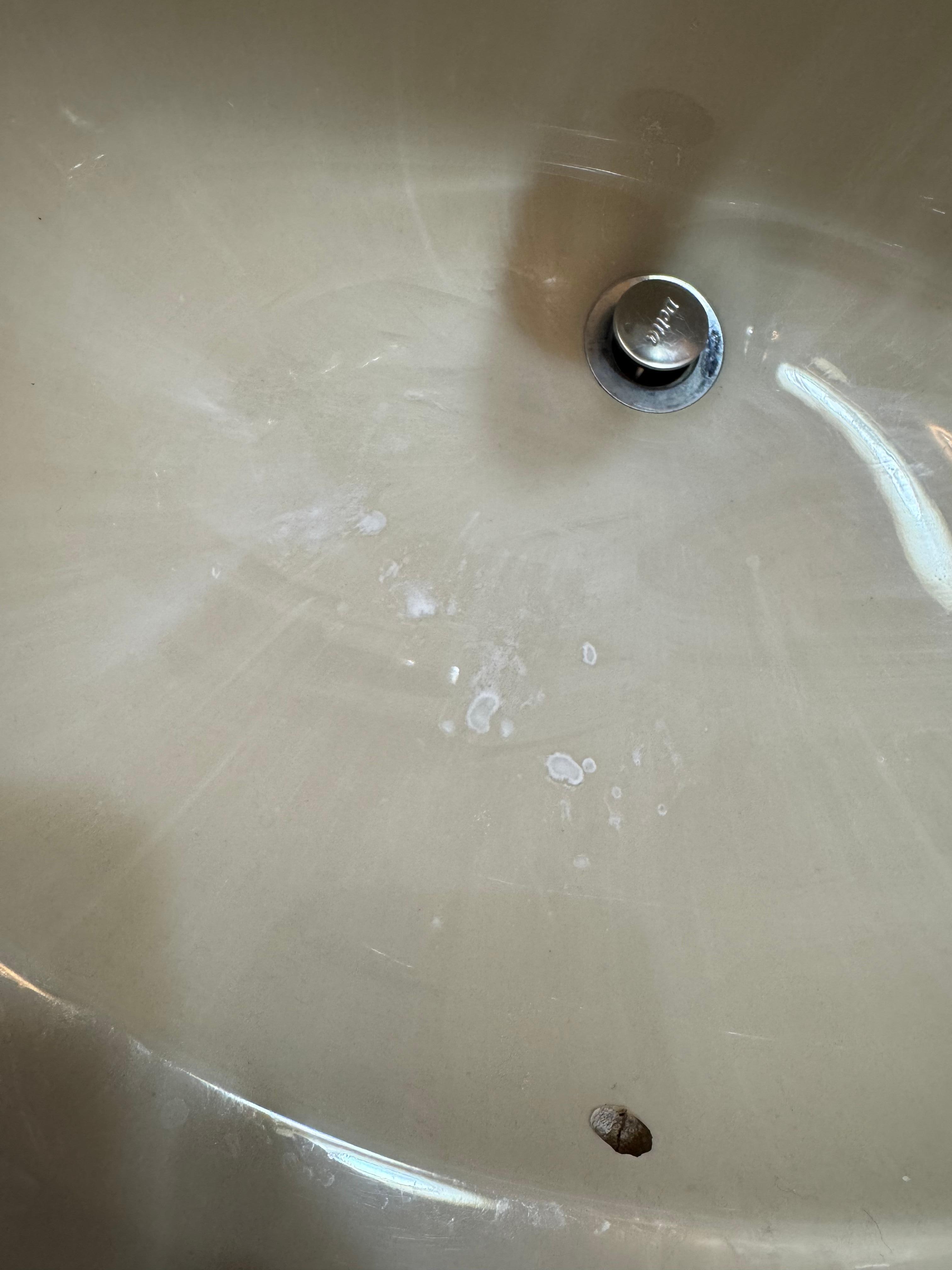 Nice toothpaste. Sure looks clean 