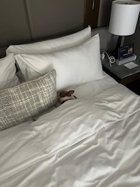 Made herself at home