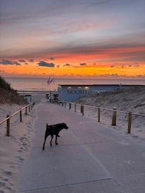 Heerlijk met de hond na 19 uur het strand op