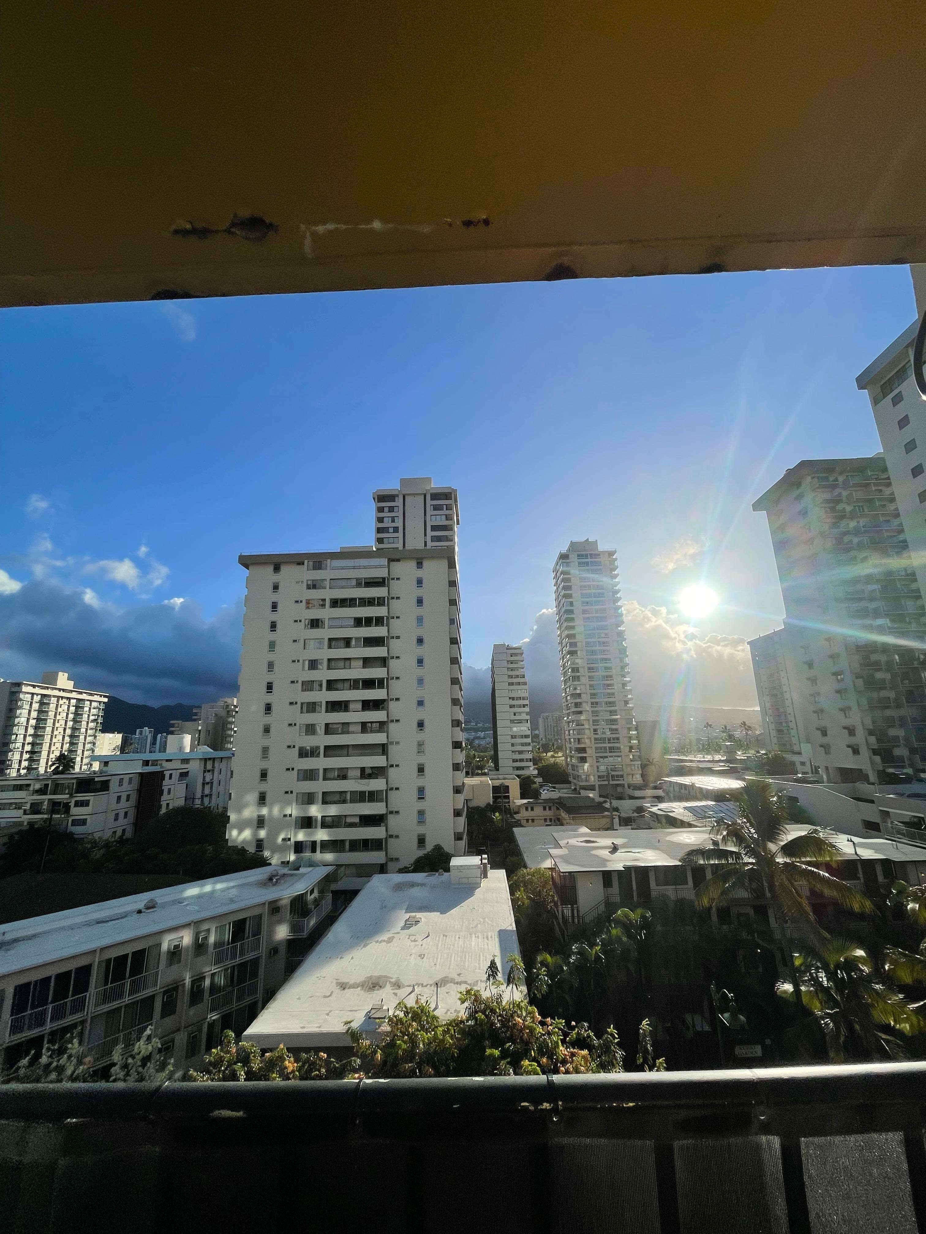 Mornings on the lanai 