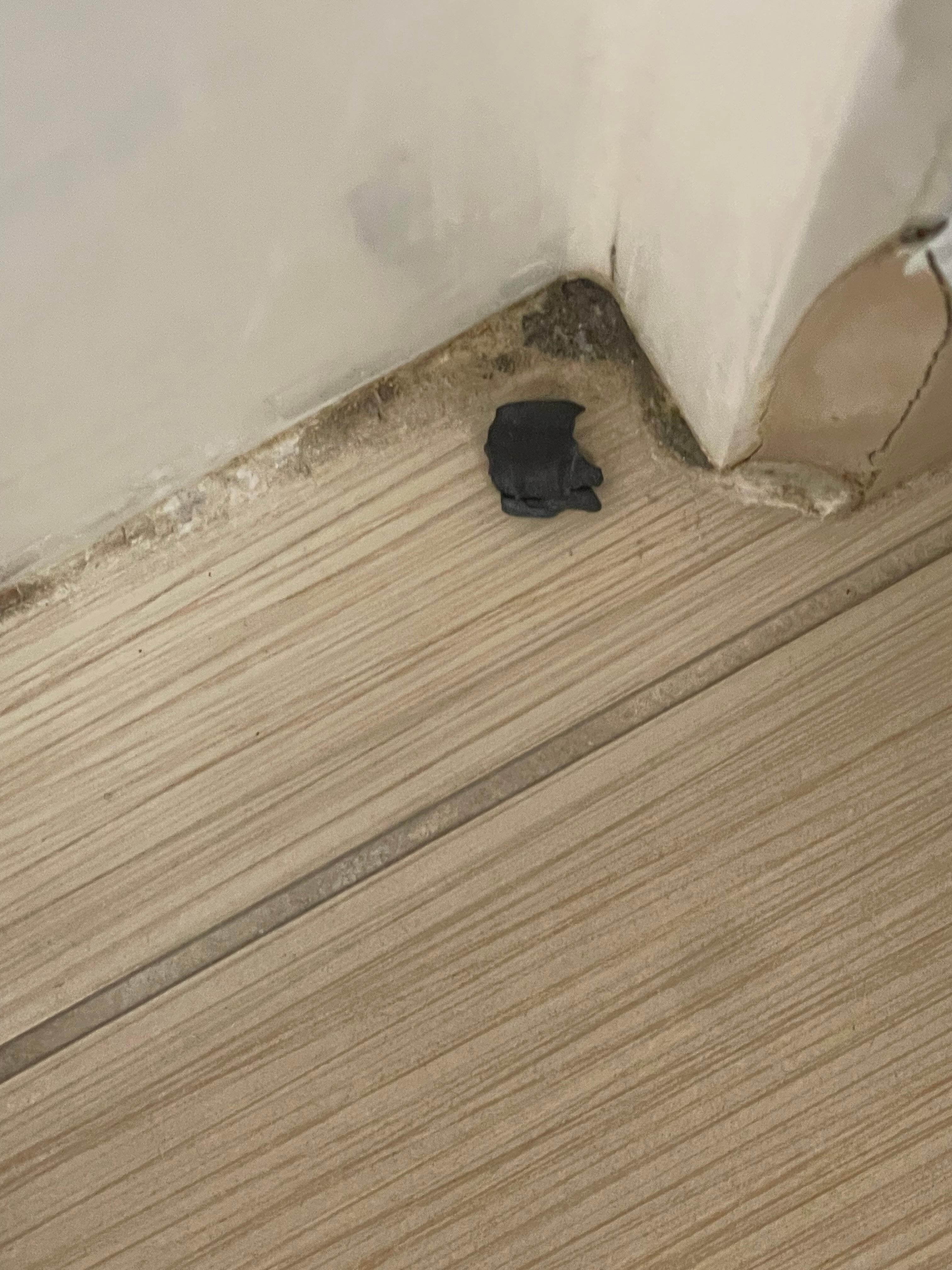 This was on the bathroom floor from the first day we checked in. I didn’t say anything because we were having our room serviced everyday so I thought housekeeping would see it and at least remove whatever it was. I was still there when we left. 