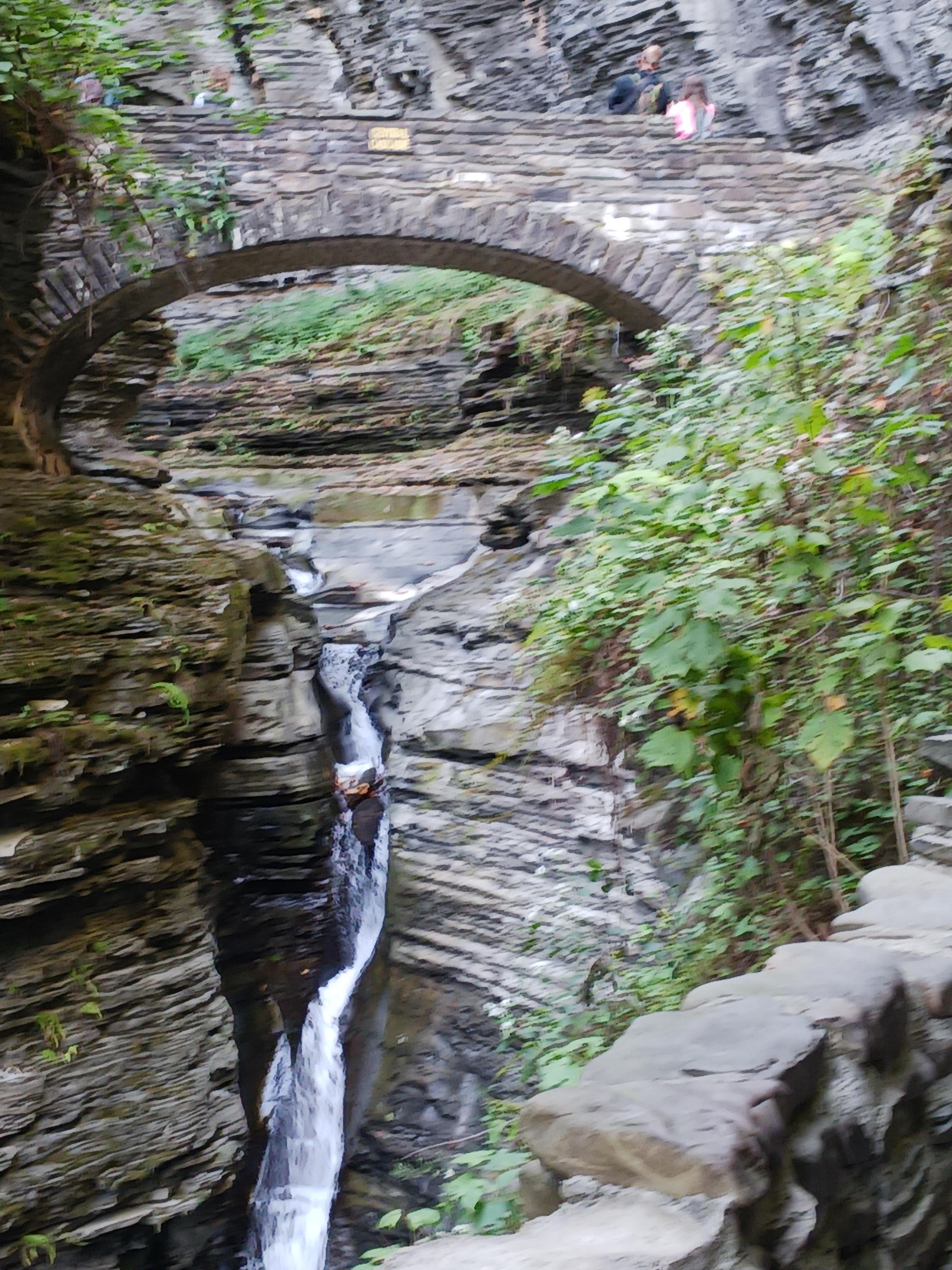 Watkins Glenn State Park