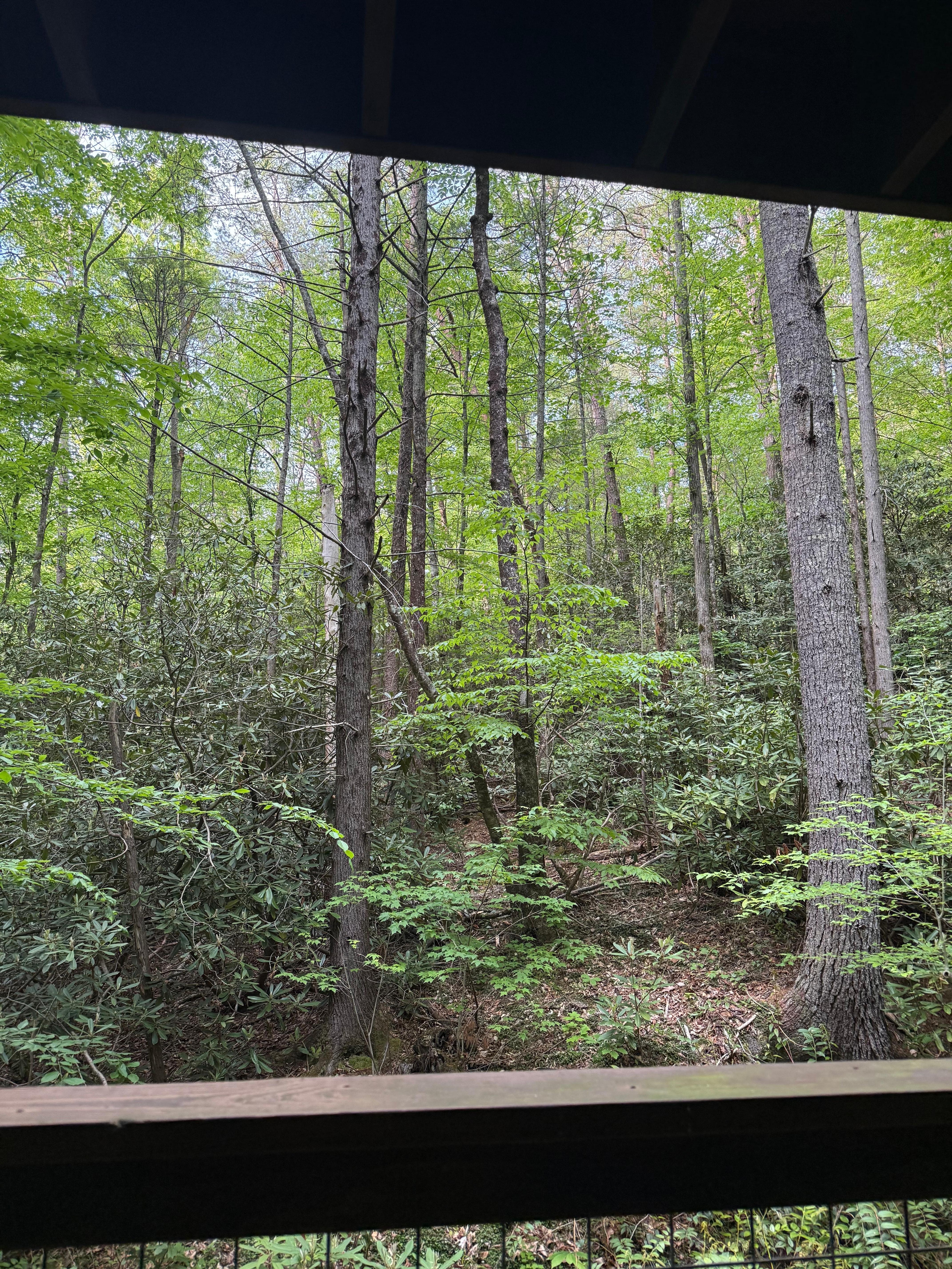 Beautiful view