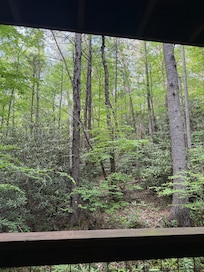 Beautiful view