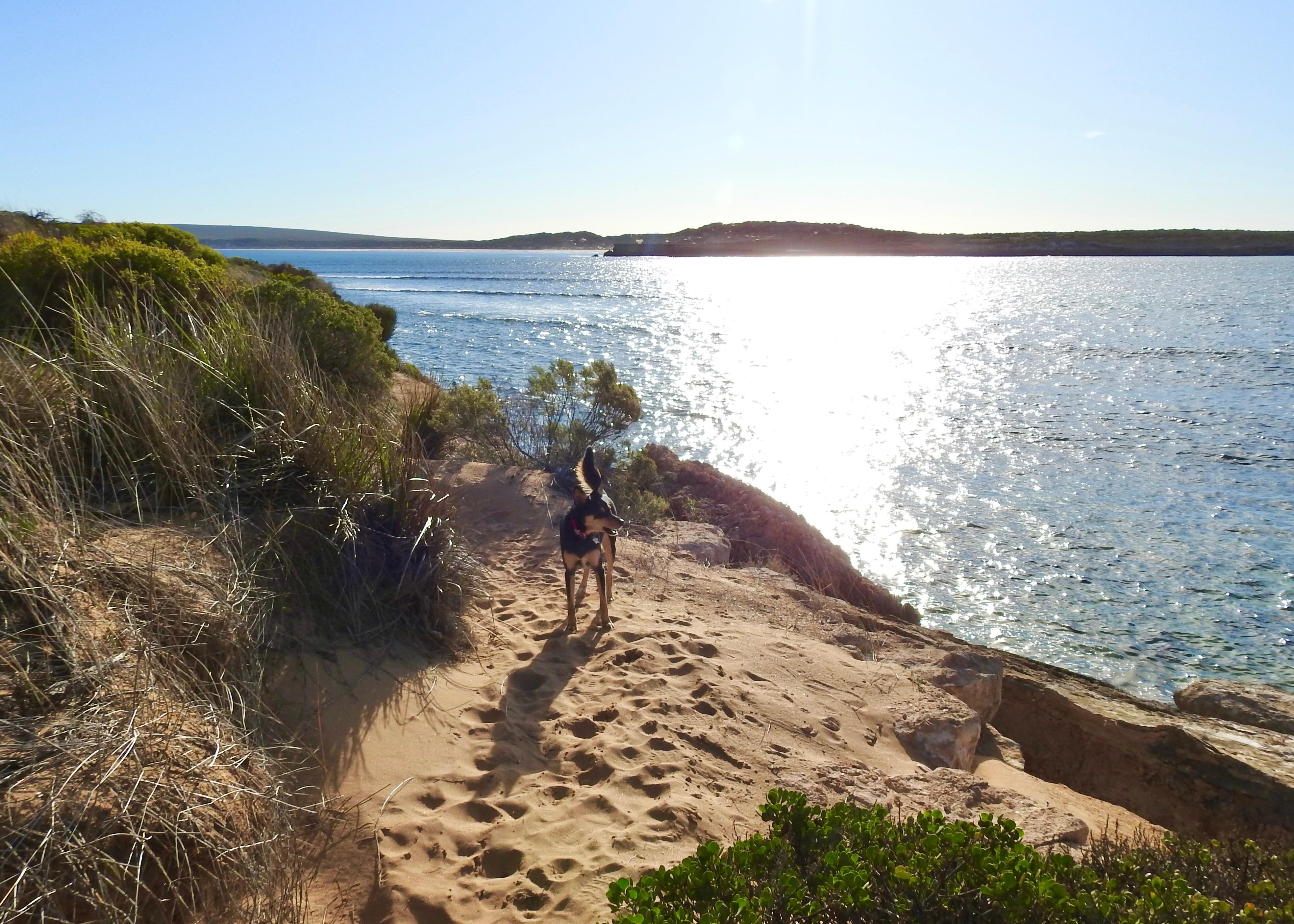 Walking along the cliff walk in Venus Bay just a couple of kilometres away