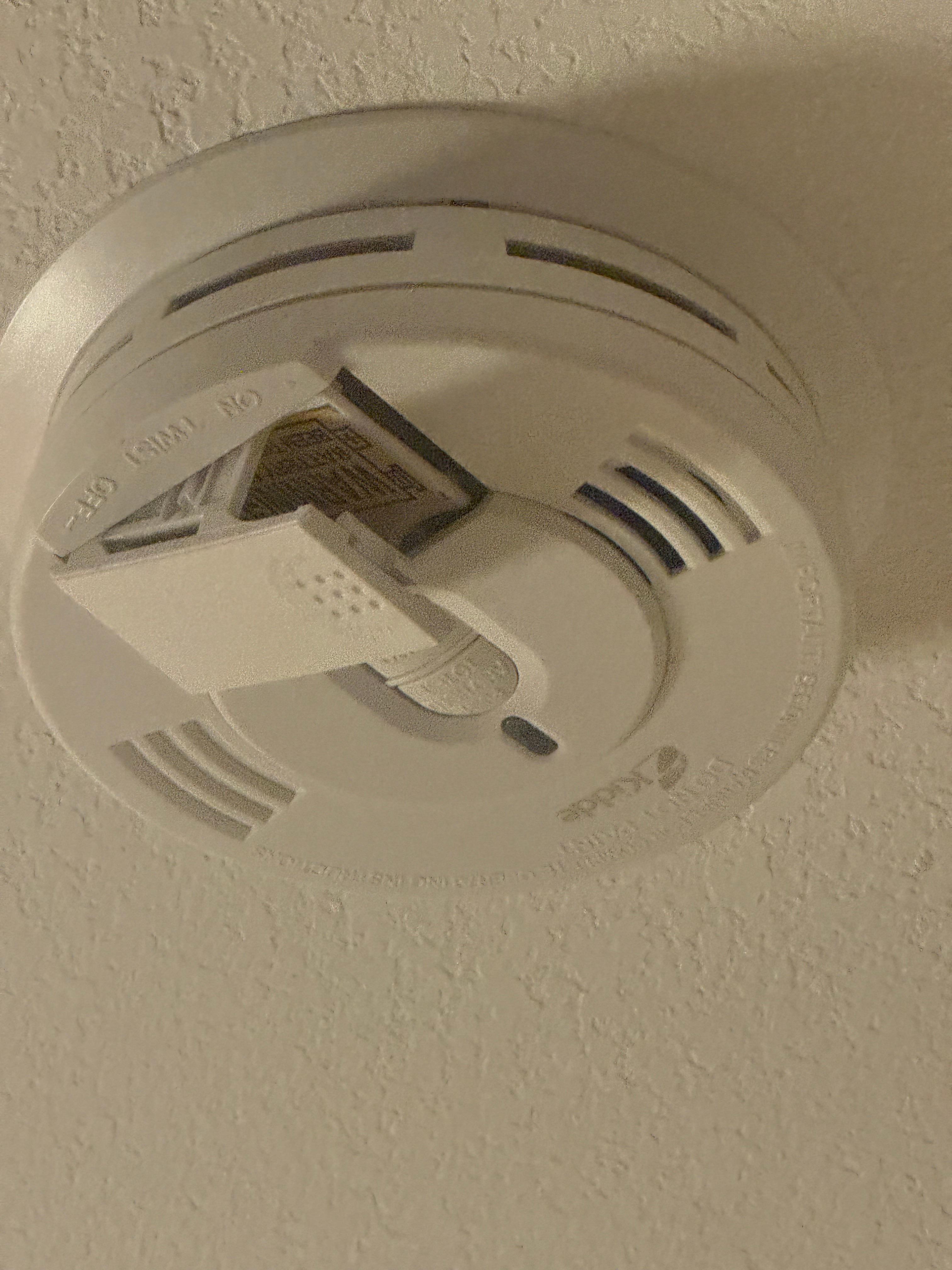 The smoke detectors in both bedrooms looked like this. 