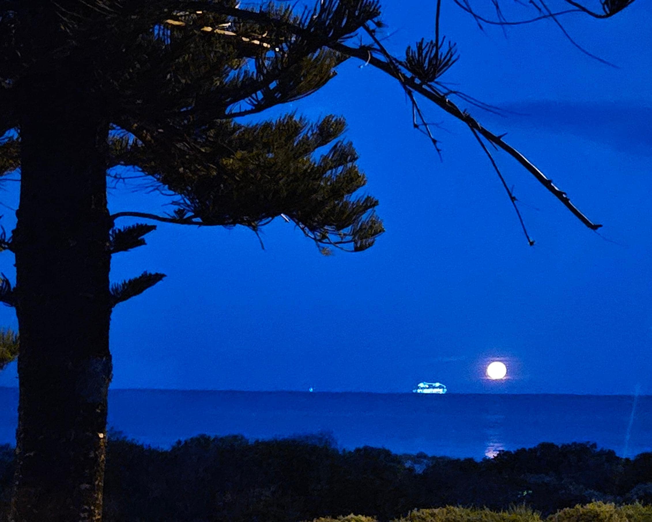 Sunrise cruise ship arriving. Early morning coffee view
