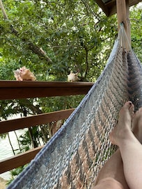 Balcony overlooking the bay.