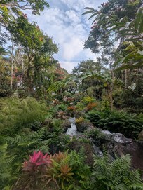 The stream adjacent to the place