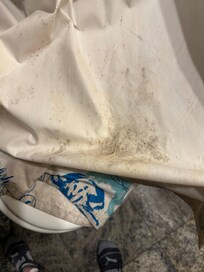 Mold on the shower curtain