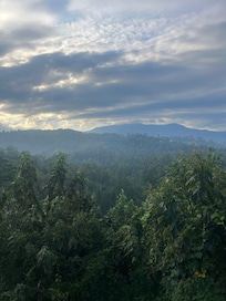 The view from the deck!