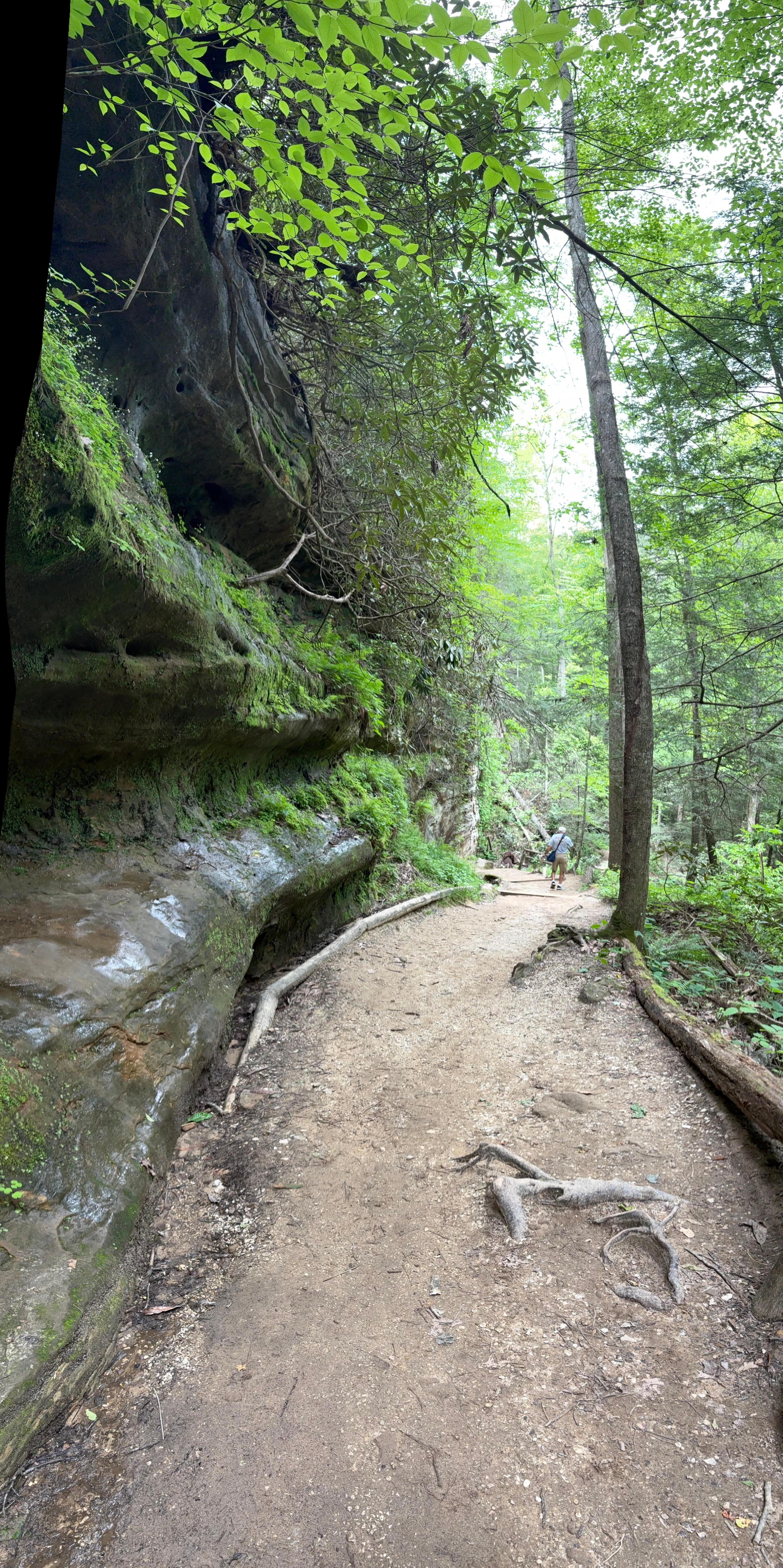 Hike to natural bridge
