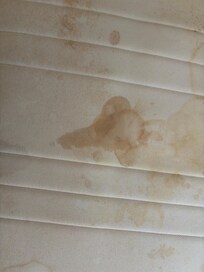 Mattress, what we found when we stripped the bed