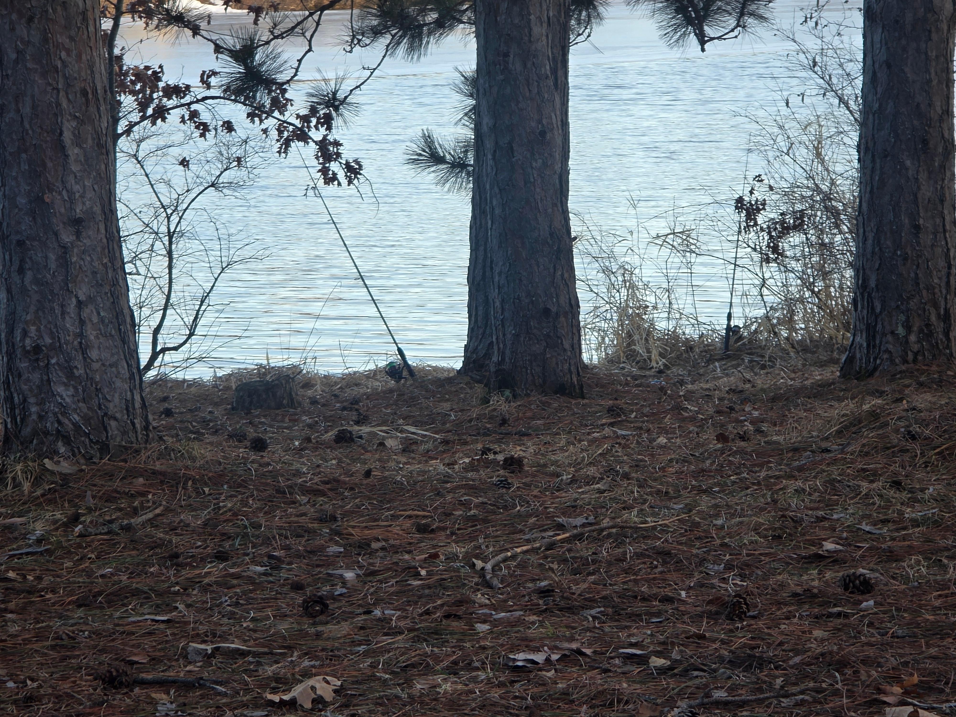 Fishing poles in the water! Lakefront cabin,  can it get any better? Nope! This was perfect! 