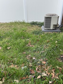 Unkempt yard
