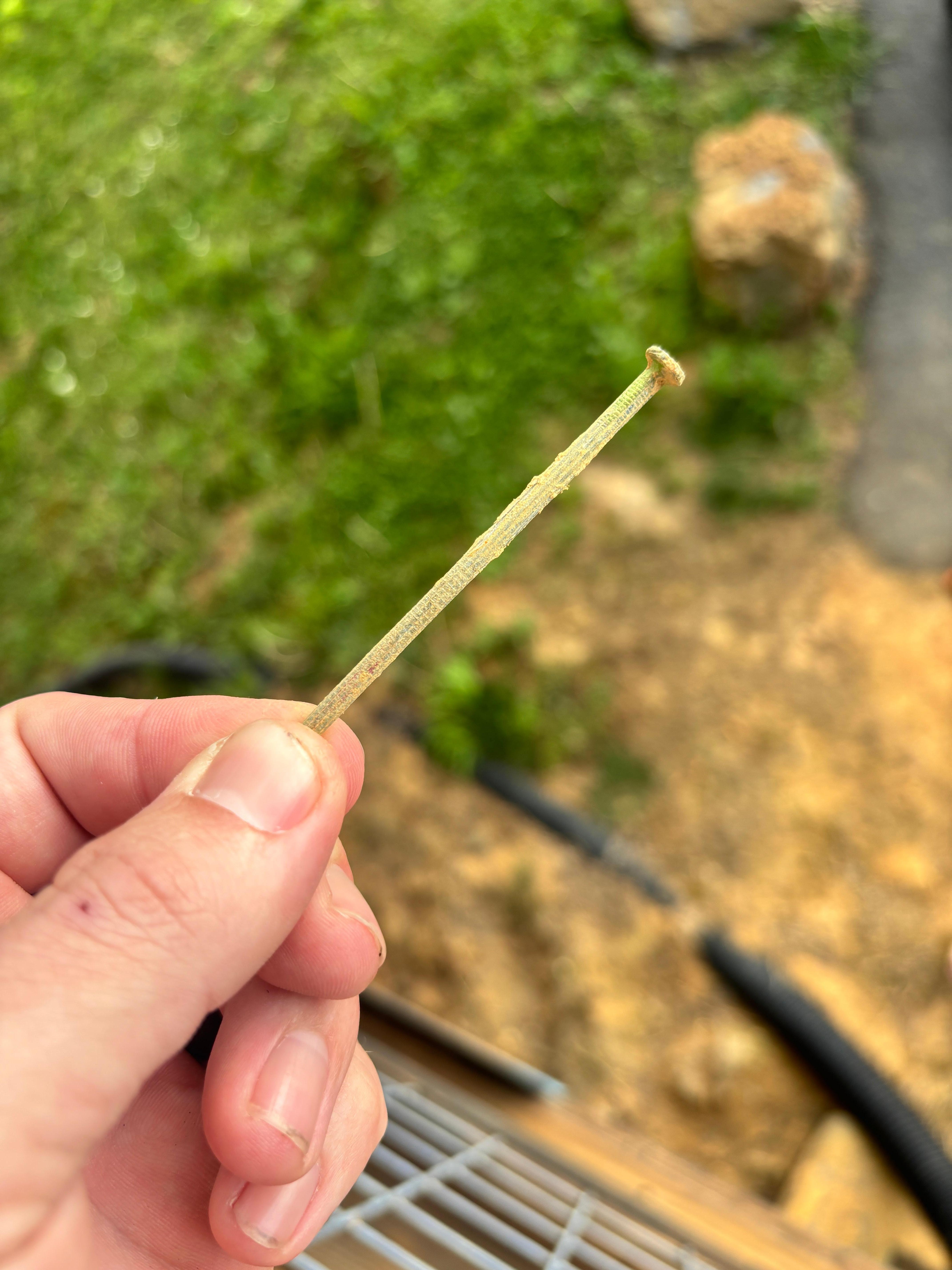 Nail found on ground outside 