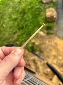 Nail found on ground outside